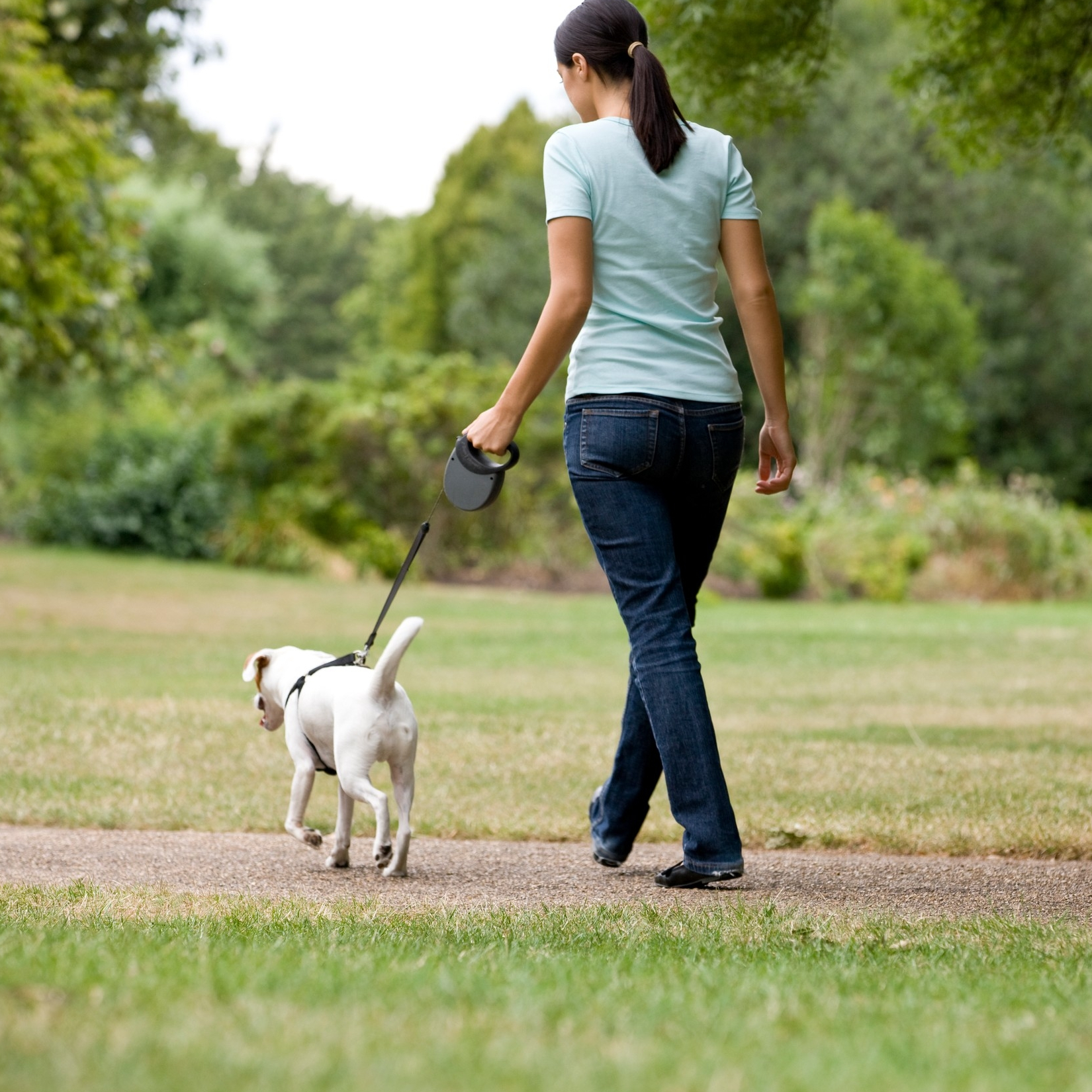 Žena šeta psa