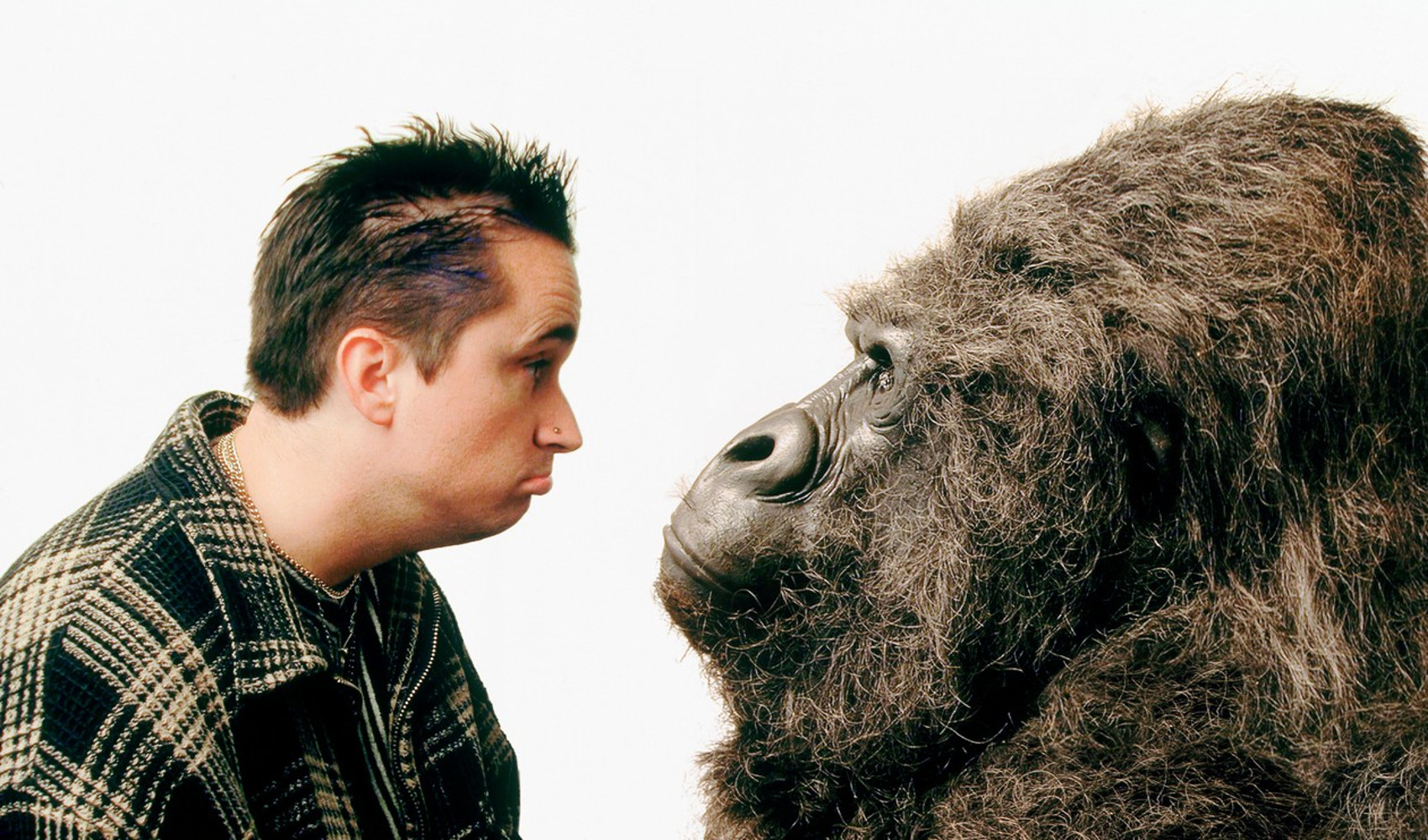 Человек млекопитающее животное. Человек млекопитающее животное. Человек относится к классу животных. Человек млекопитающее животное. Человек и животное.