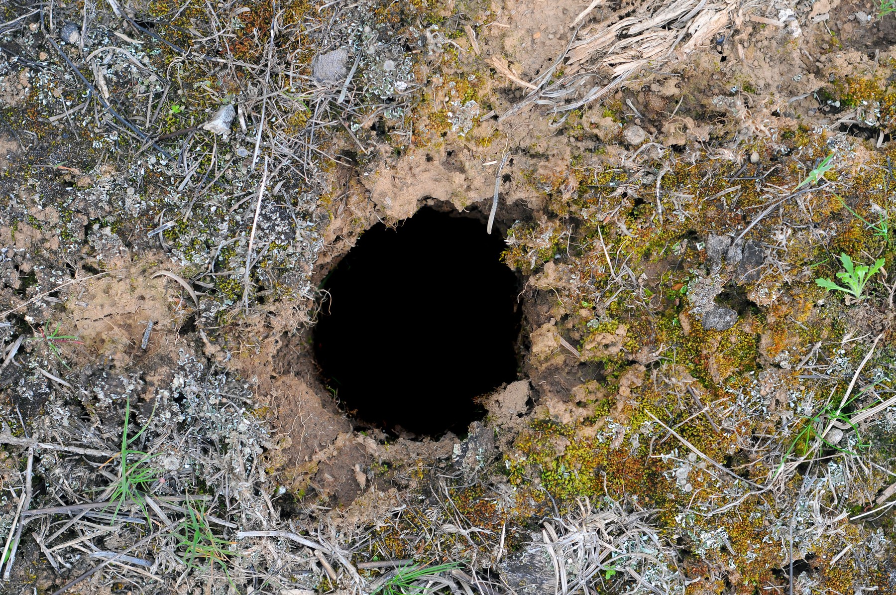A hole on one. Песчаная прореха. Hole. A hole on one. A hole on one.