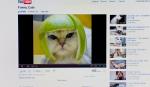 Slika smešne mace na YouTube