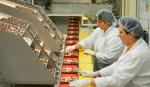 radnici u Švajcarskoj fabrici čokolade