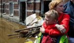 Poplave u Belgiji
