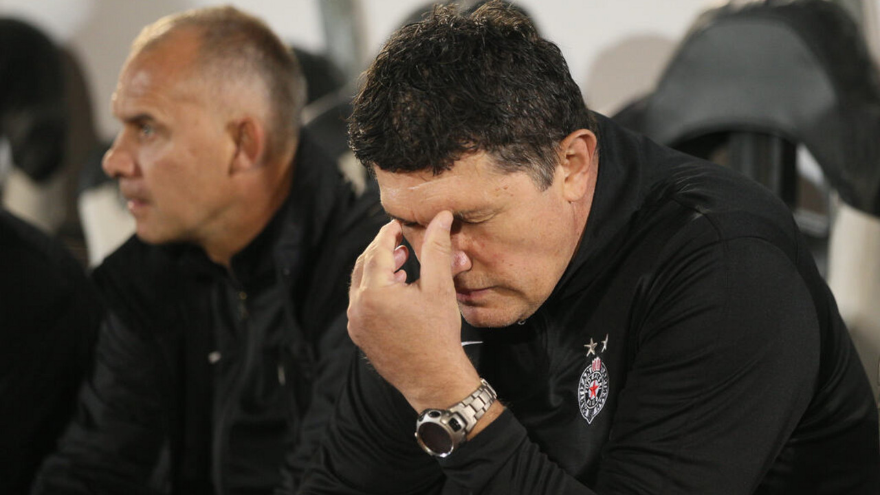 Gordan Petrić, FK Partizan