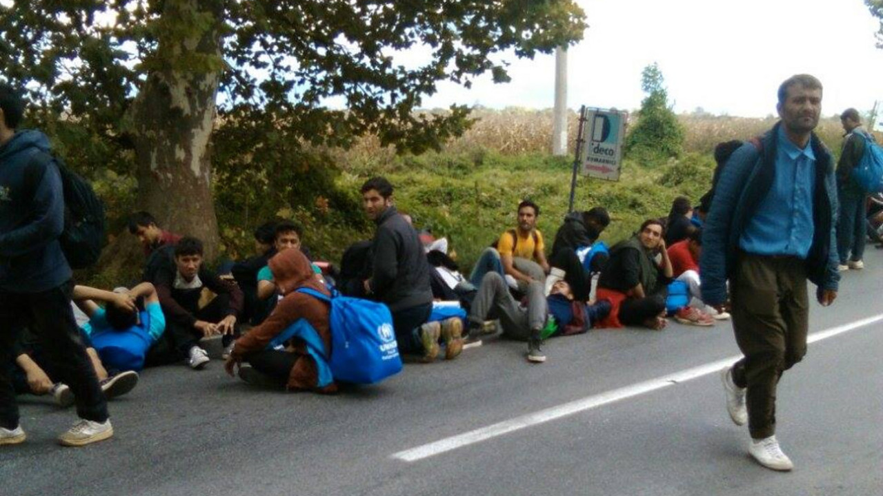 Migranti