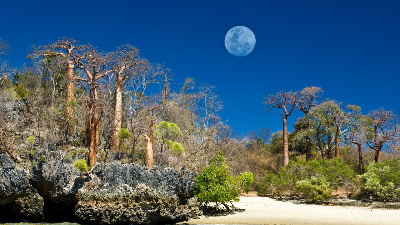 Madagaskar