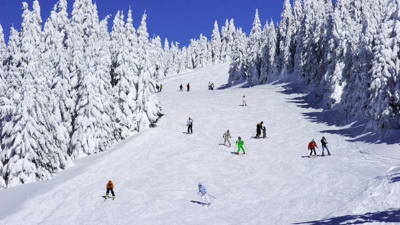 Kopaonik