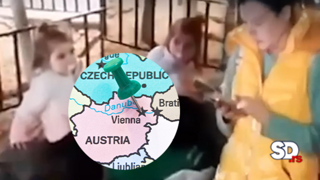 Nestala Danka Ilić