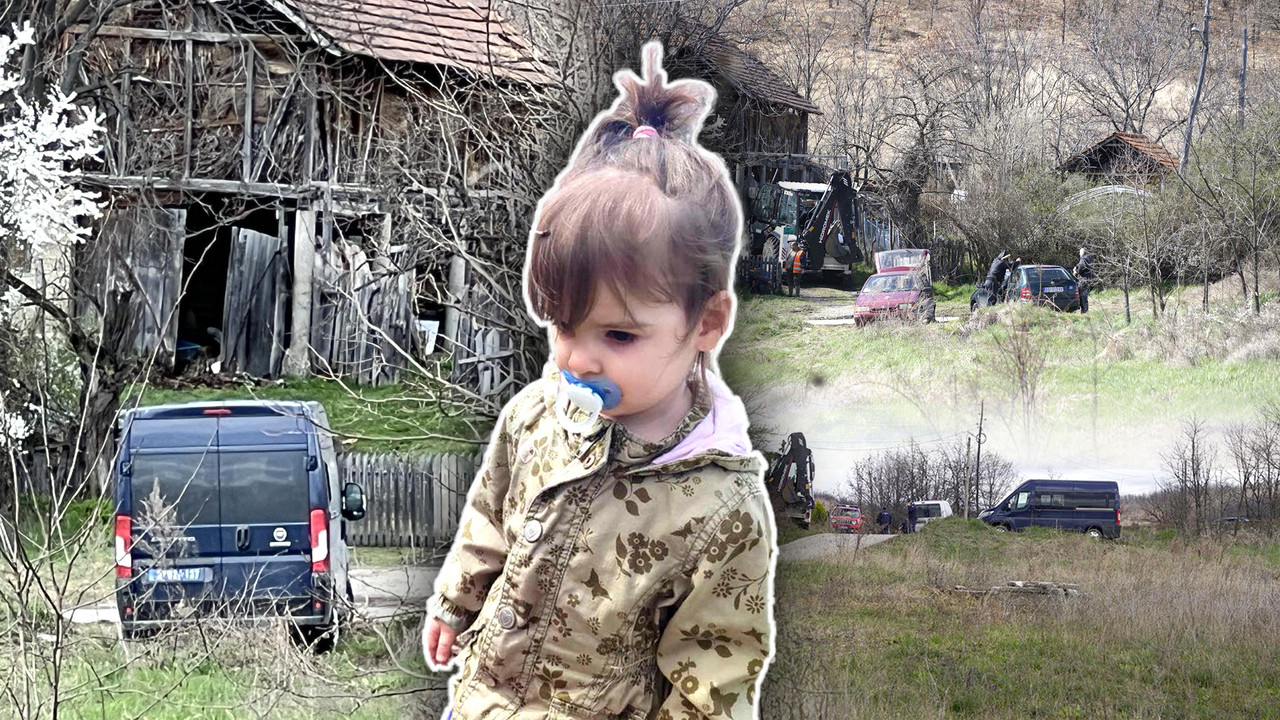 Potraga za nestalom Dankom Ilić