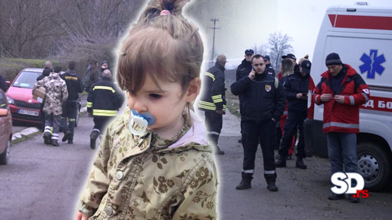 Potraga za nestalom Dankom Ilić