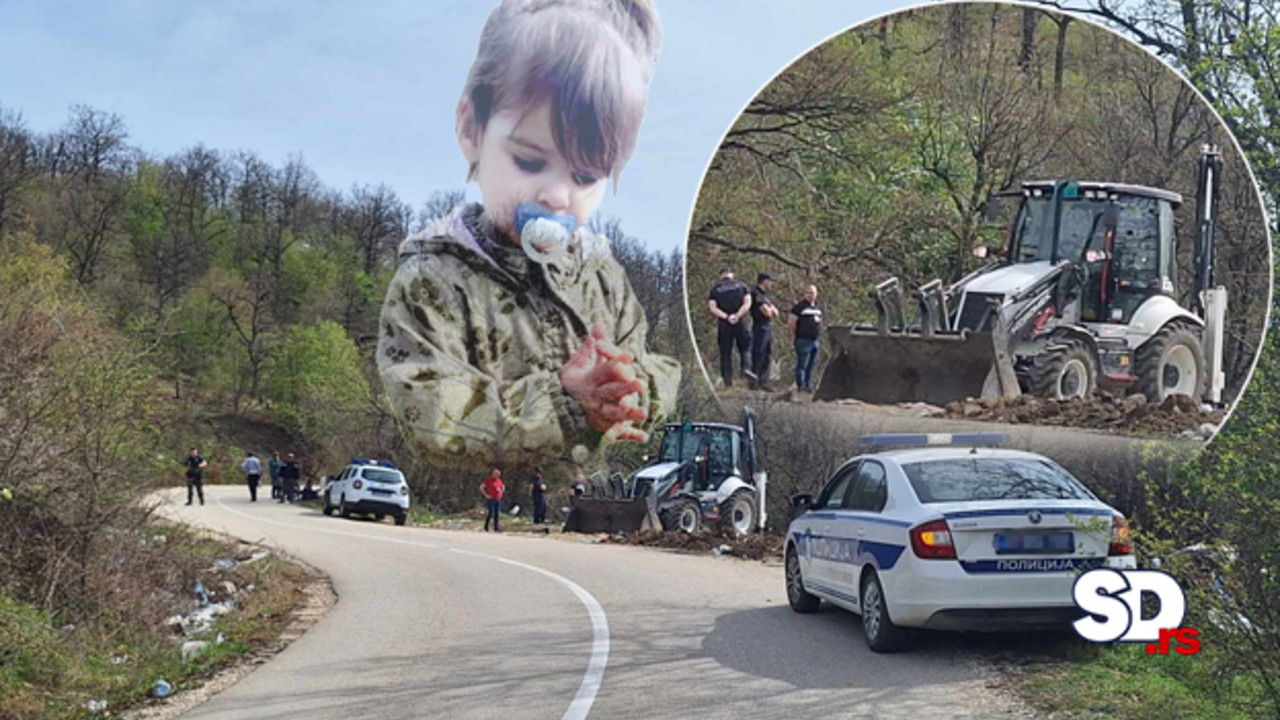 Potraga za nestalom Dankom Ilić