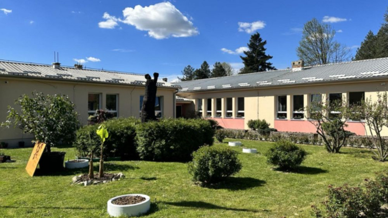Dubovica