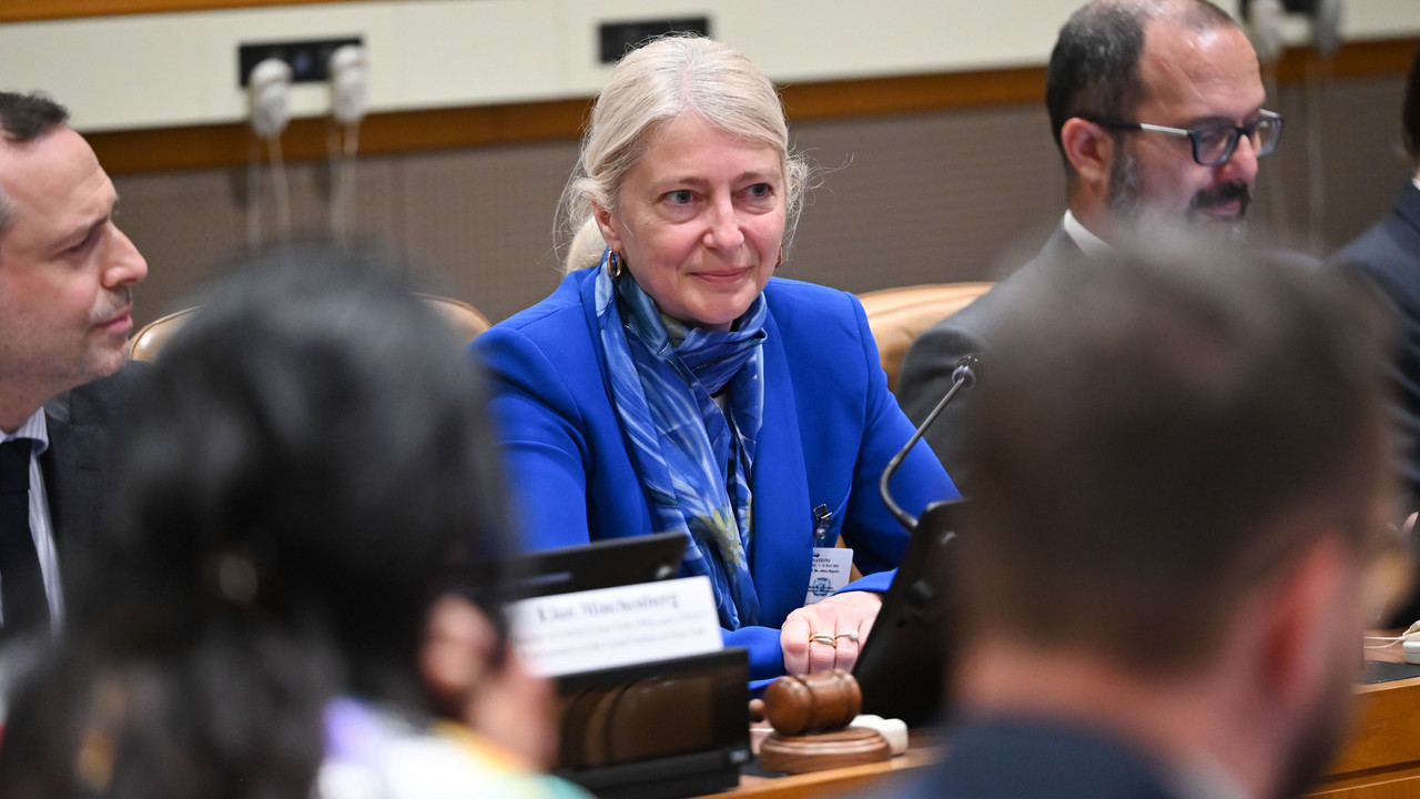 dr Jelena Begović 