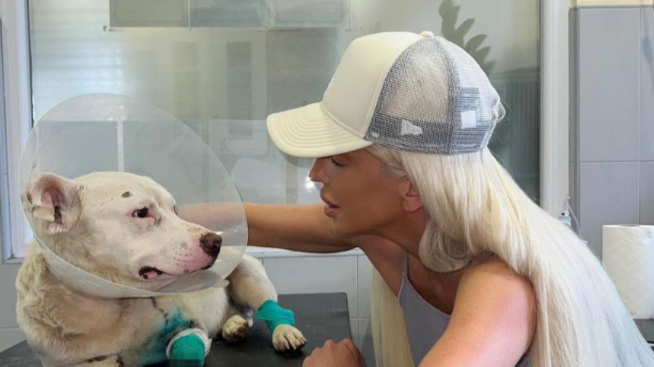 Jelena Karleuša i Alfa