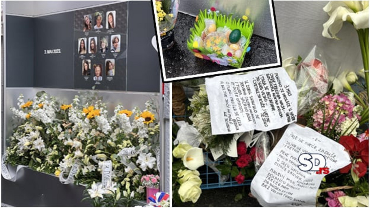 Stihovi pesme ispred OŠ "Vladislav Ribnikar"