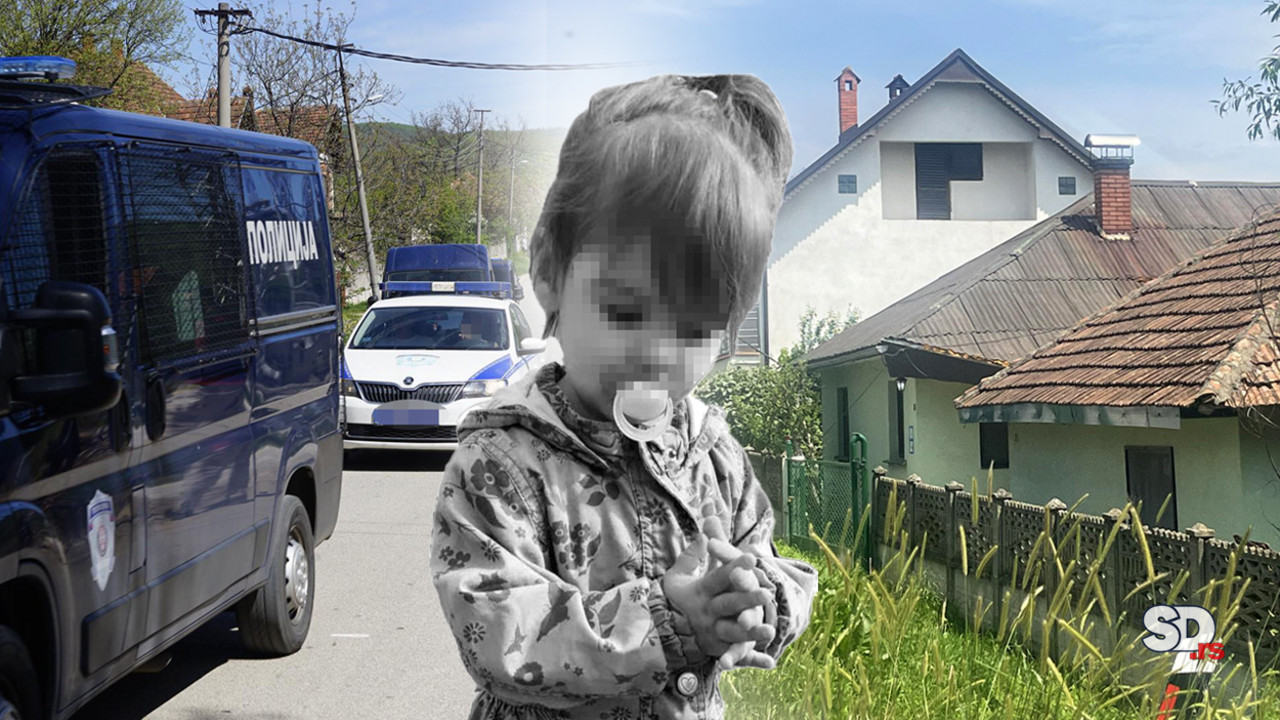 Ubijena Danka Ilić