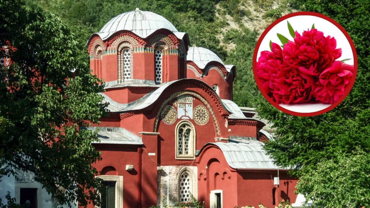 Kosovski božuri
