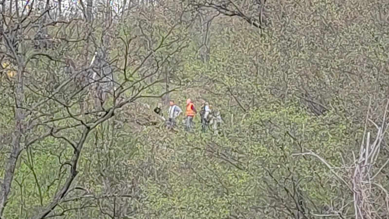 Potraga