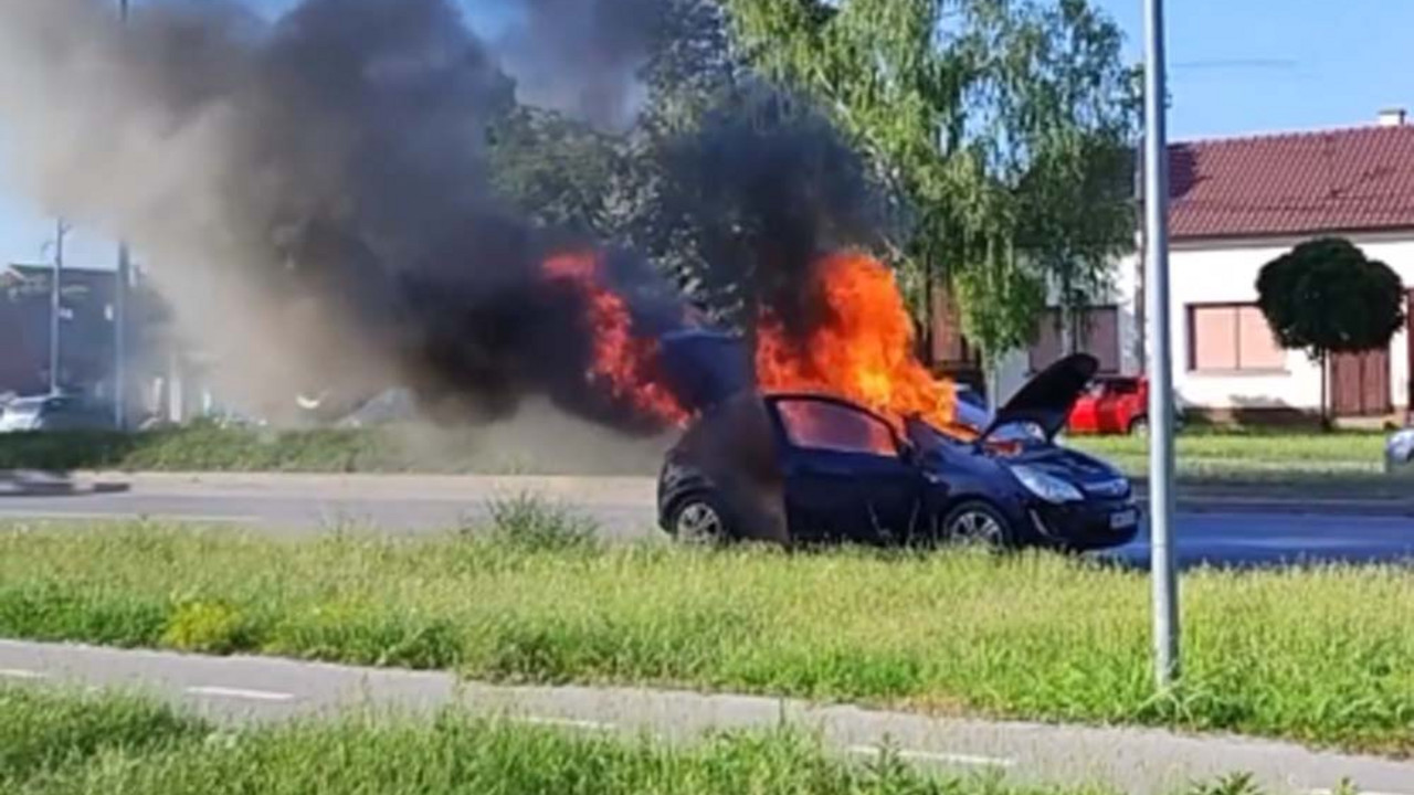 Gori automobil