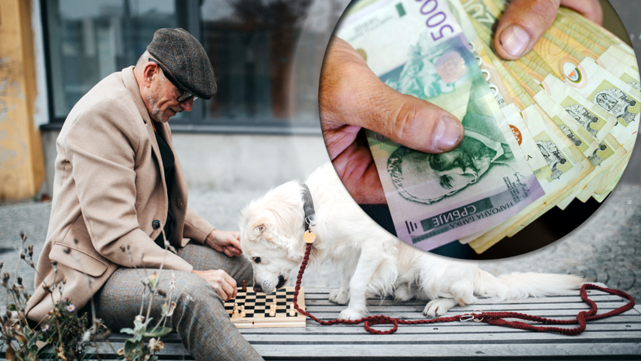 Penzioner igra šah i druži se sa psom na klupi a u uglu su ruke koje drže svežanj dinara u apoenima od 5000 i 2000 dinara
