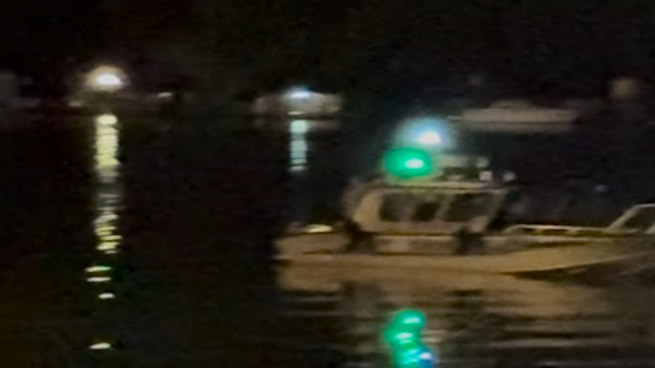 Policija na Savi