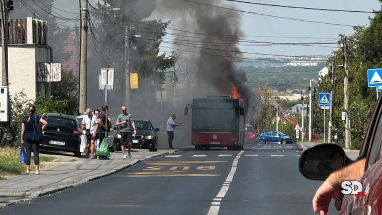 Autobus