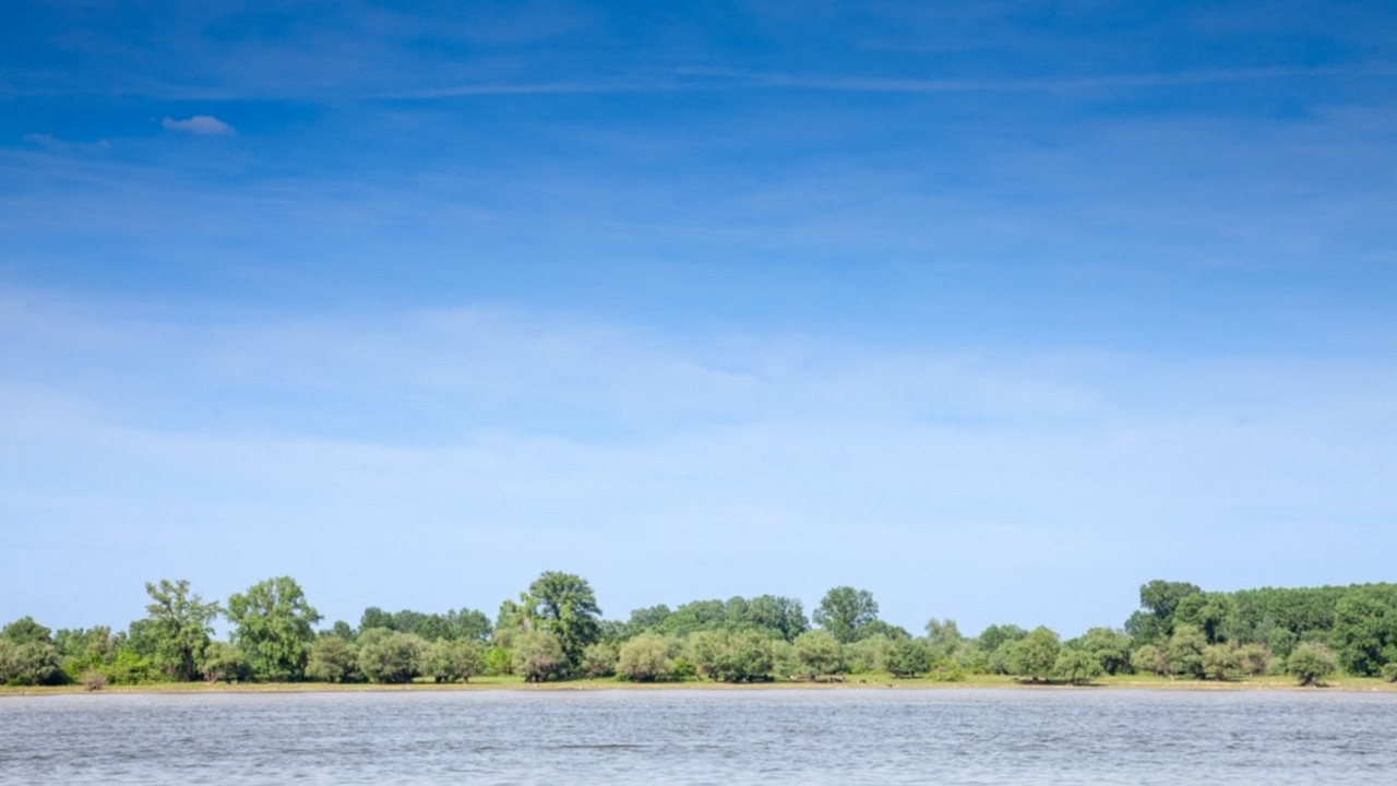 Dunav
