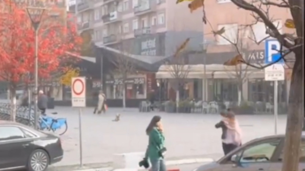 Napad vrana
