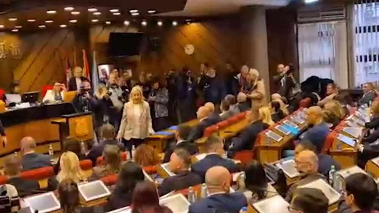 Skupština NS