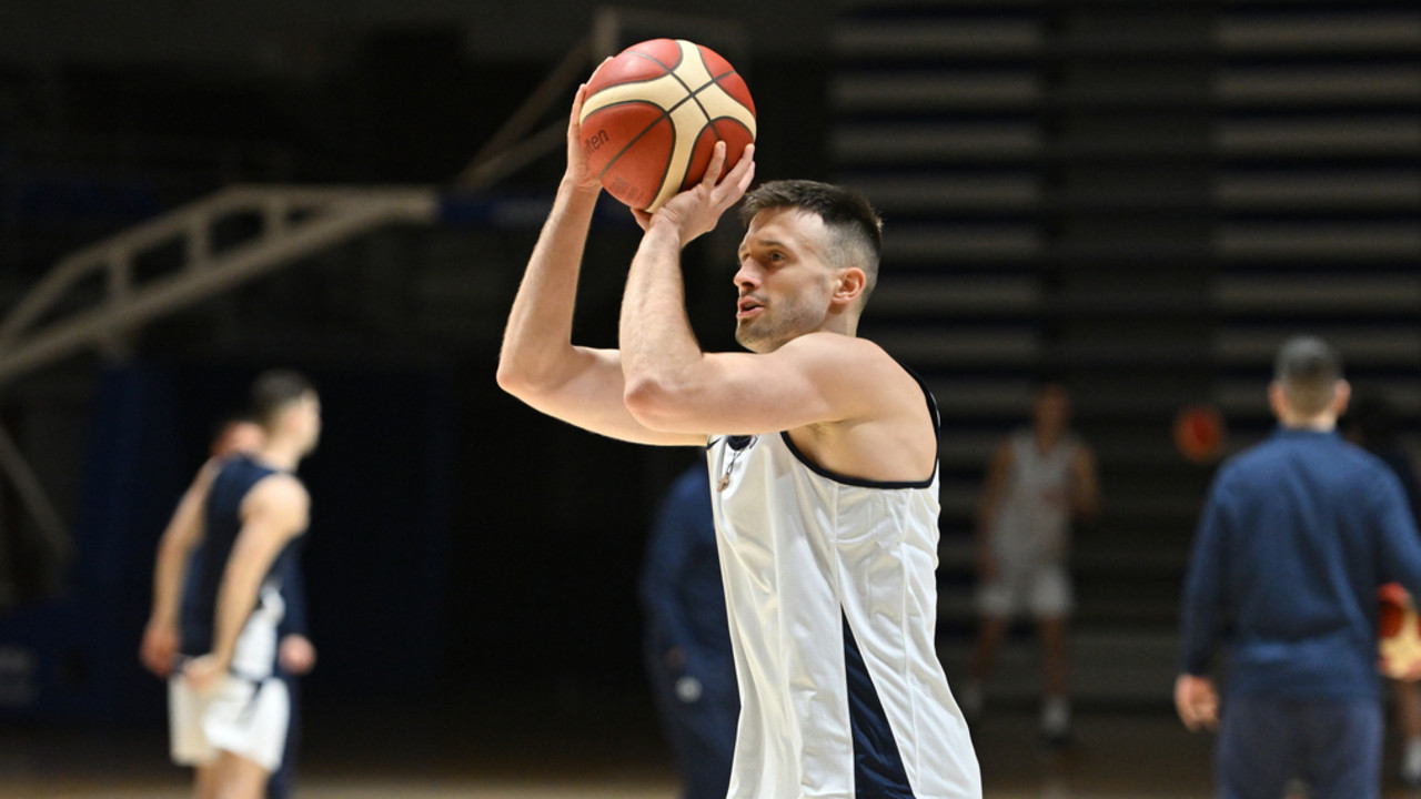 Aleksa Avramović