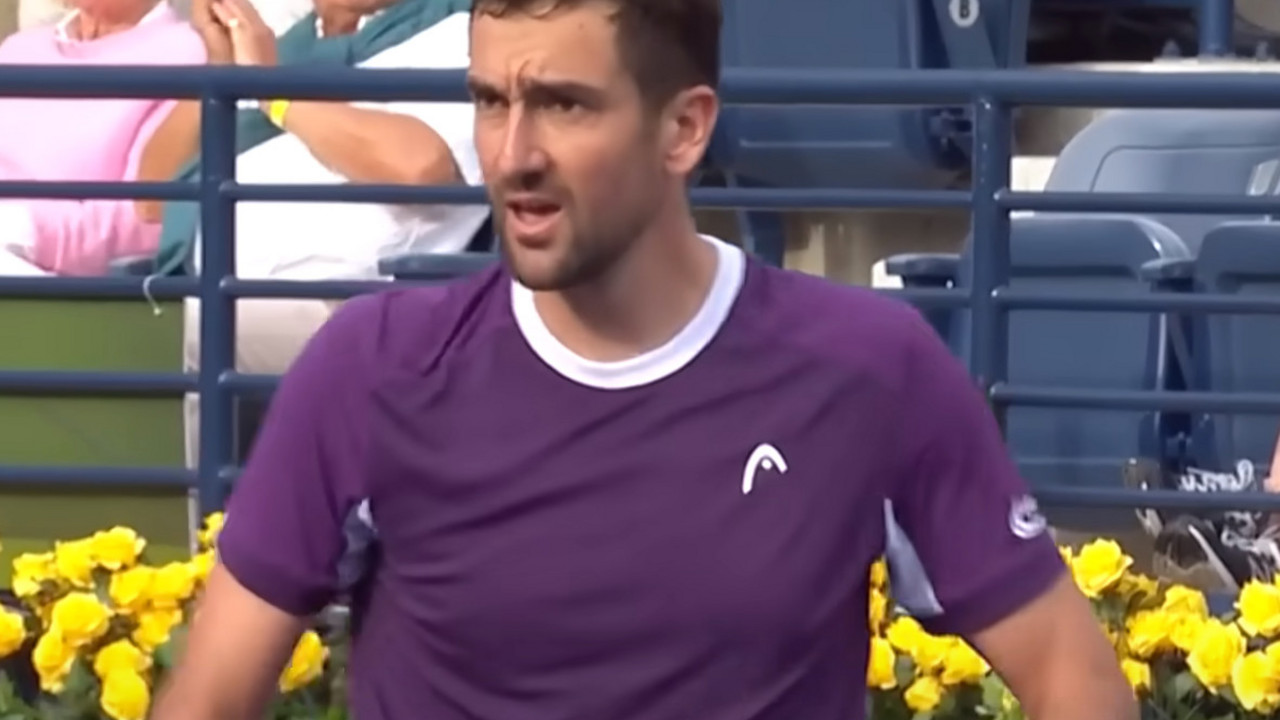 Marin Čilić