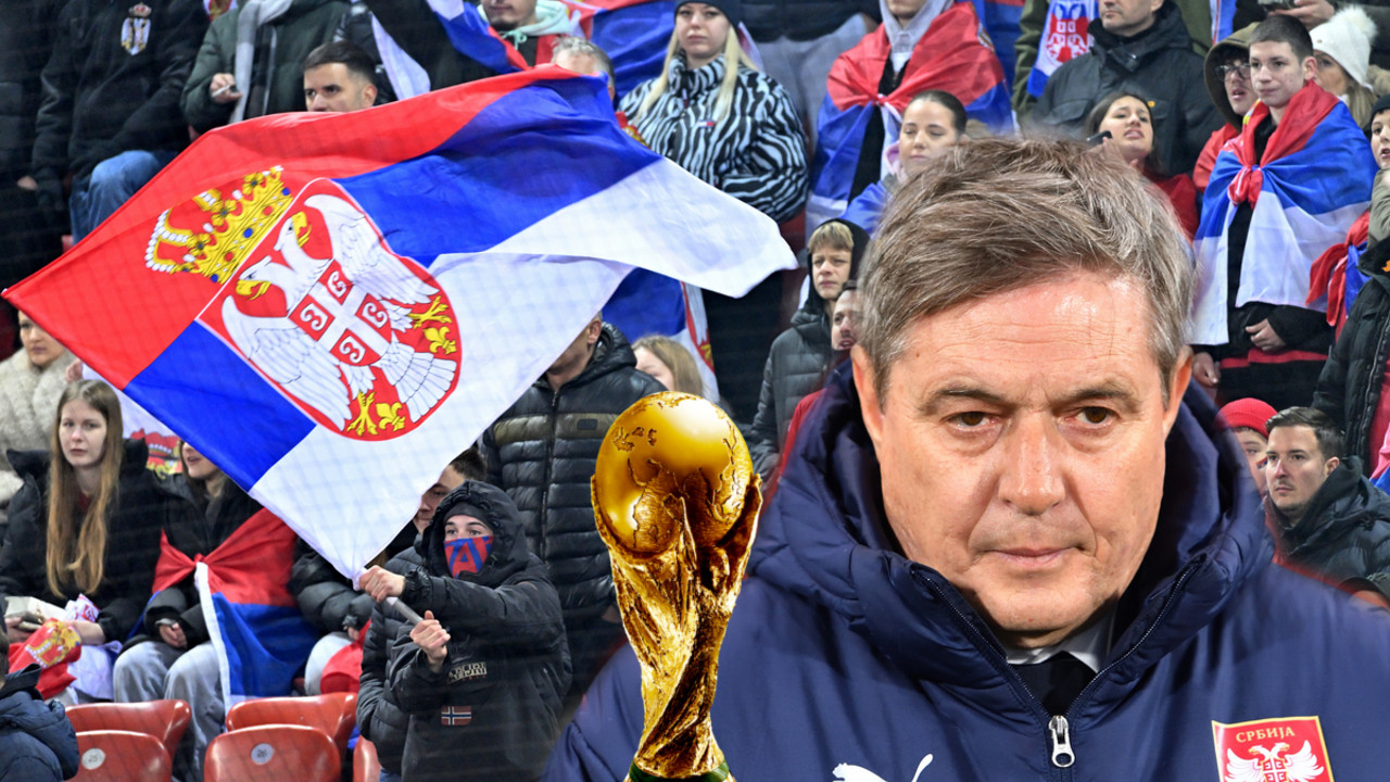 Navijači srpske reprezentacije
