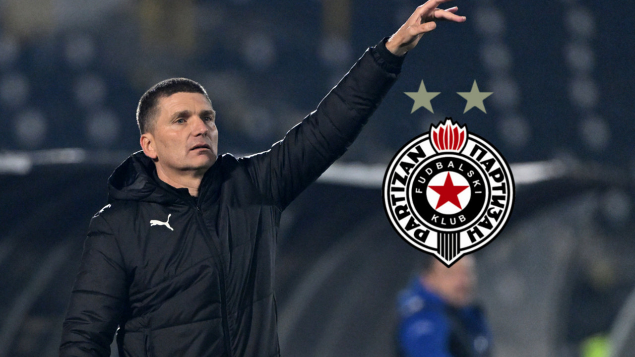 Srđan Blagojević, FK Partizan