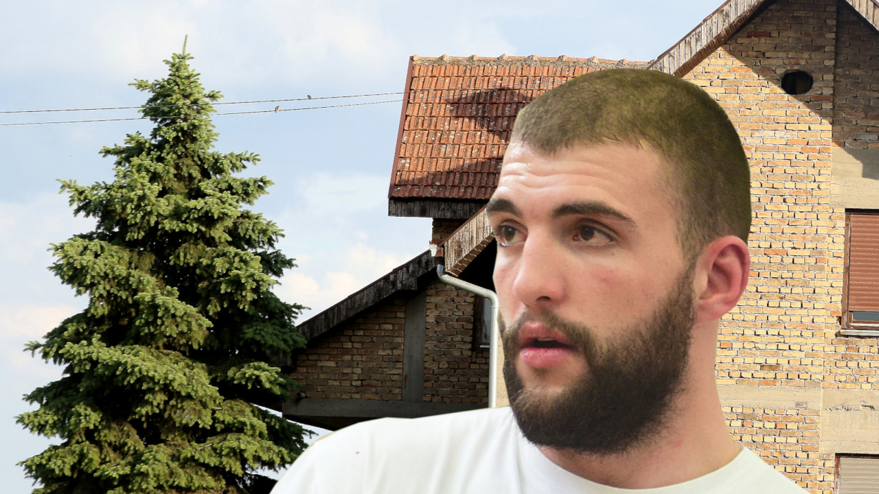 Veljko Ražnatović