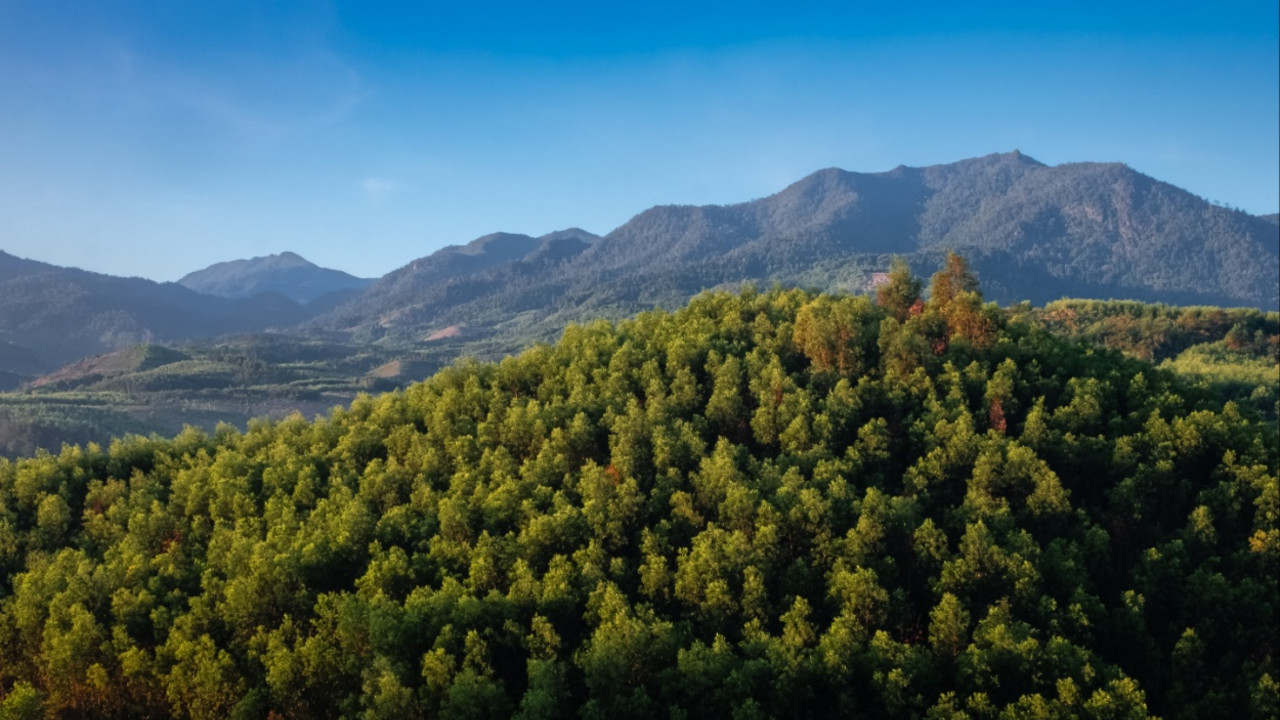 Planina