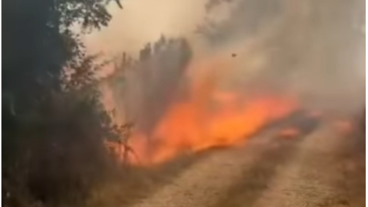 požar kod Užica