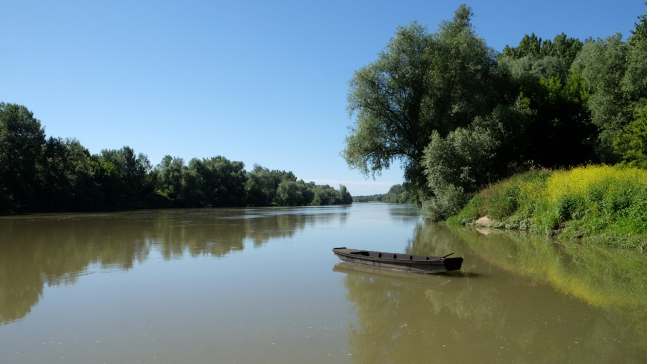 Sava