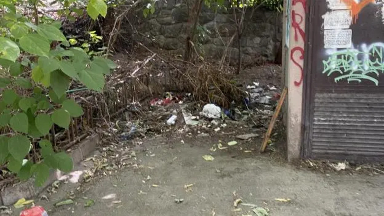 Mesto u Zemunu na kojem je pronađena beba