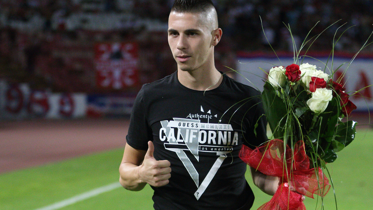 Srđan Plavšić