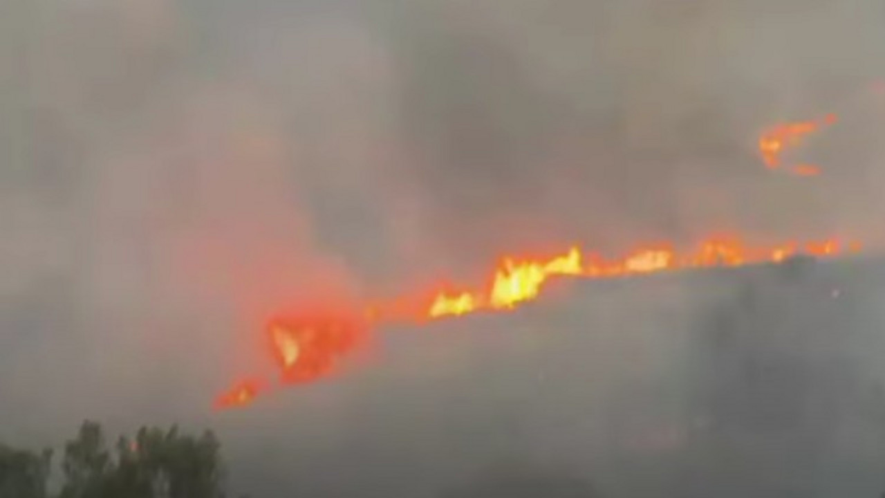 Požar u Albanija