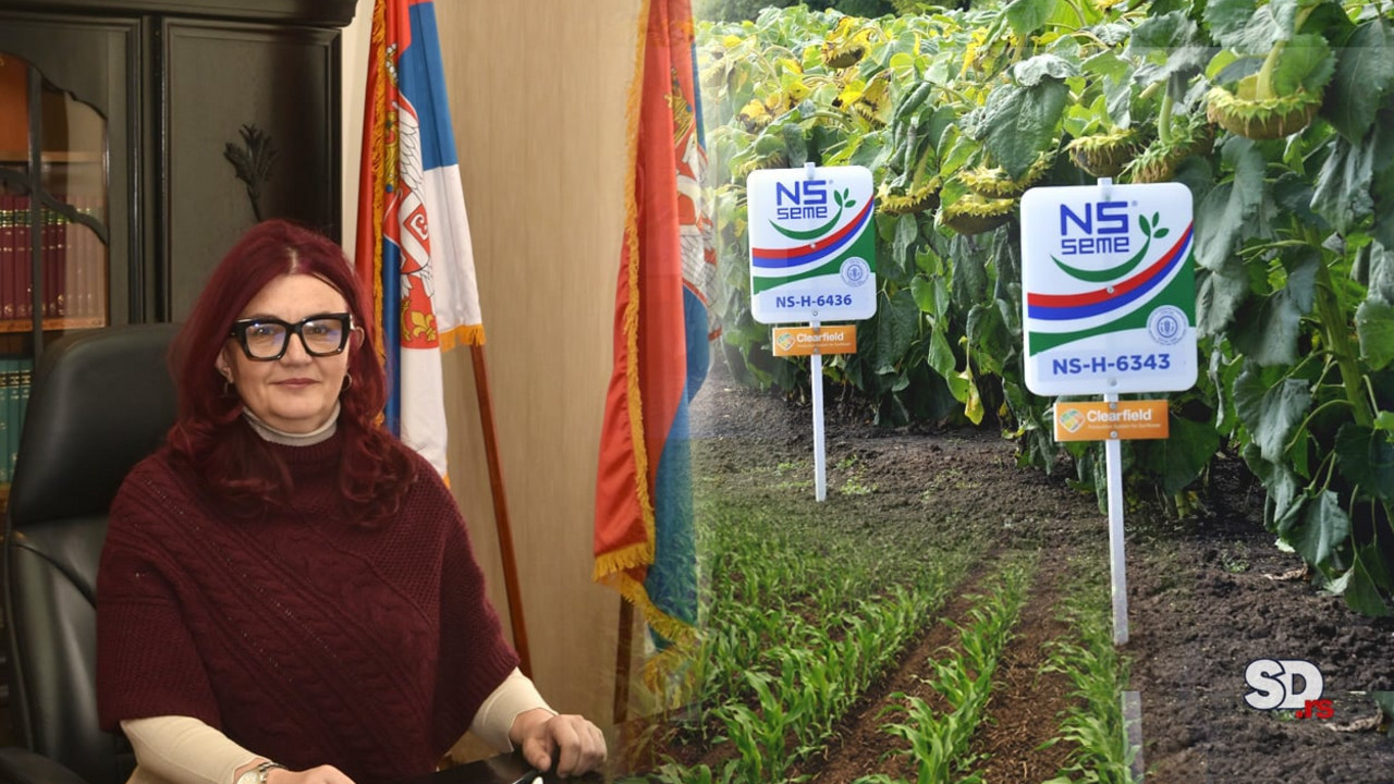 Prof. dr Dragana Latković, direktor Instituta za ratatstvo i povrtarstvo