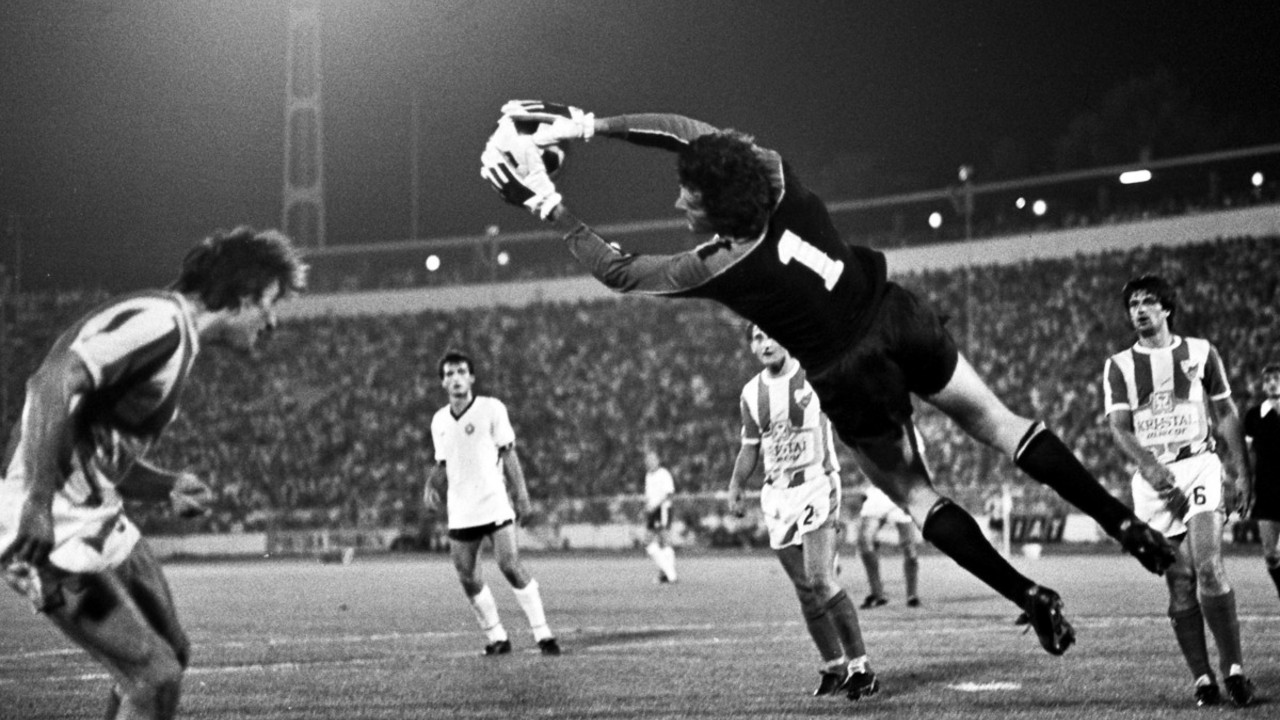 Dragan Simeunović 