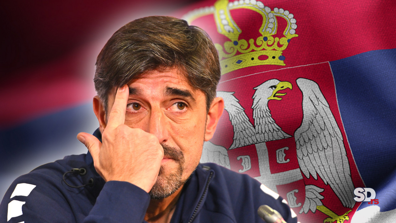 Veljko Paunović, Fudbalska reprezentacija Srbije