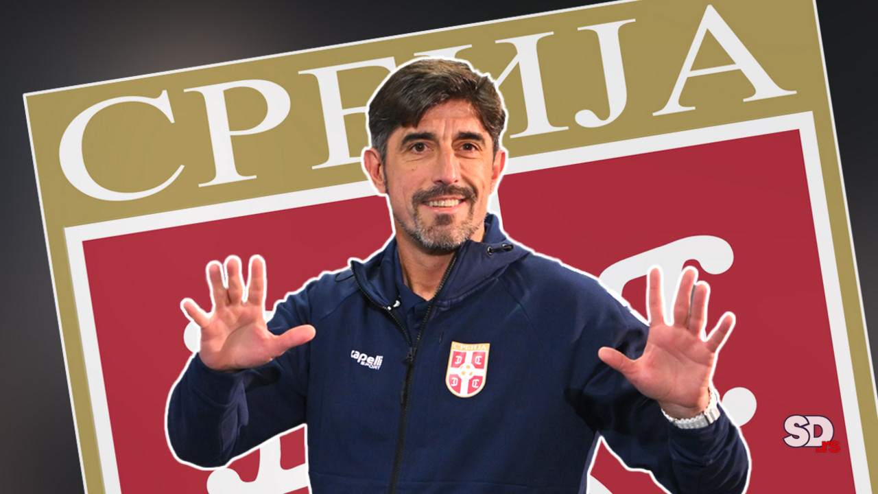 Veljko Paunović, Fudbalska reprezentacija Srbije
