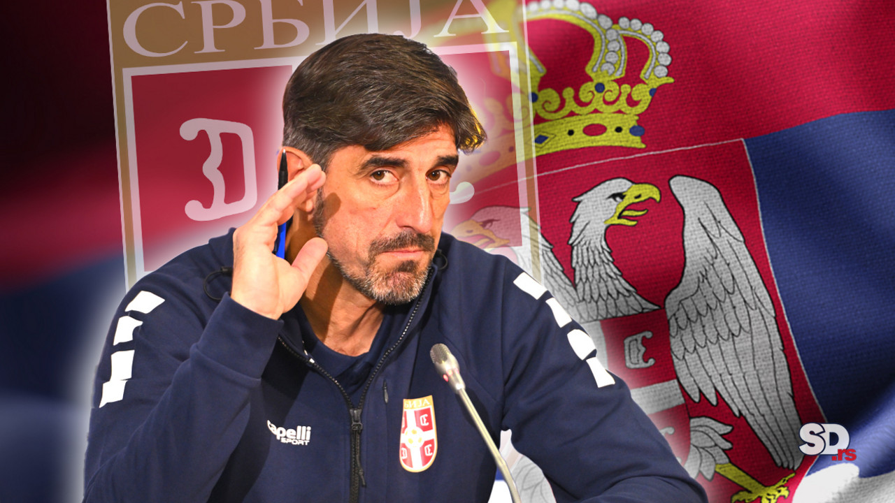 Veljko Paunović, Fudbalska reprezentacija Srbije