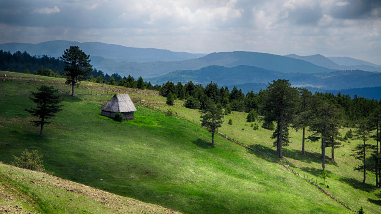 Zlatibor
