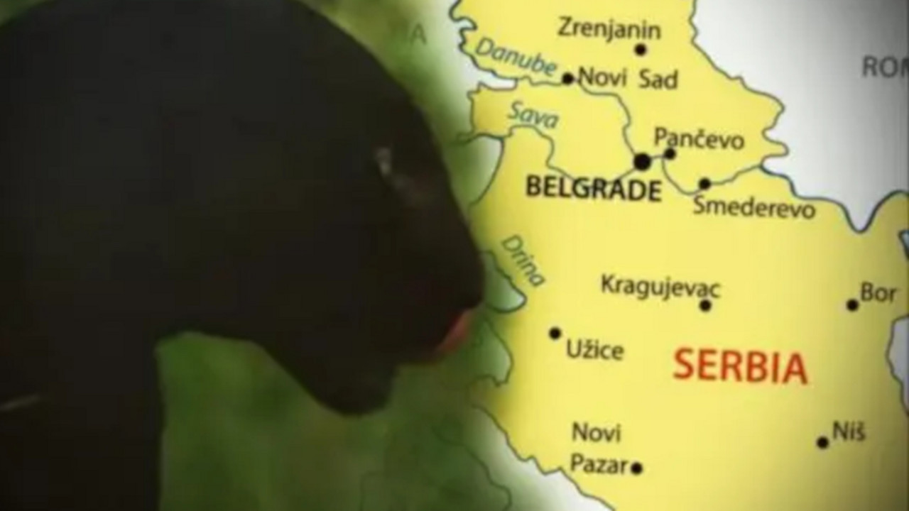 Crni panter navodno viđen na teritoriji Srbije 2022. godine