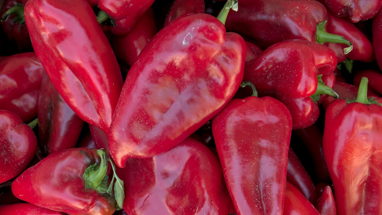 Paprika