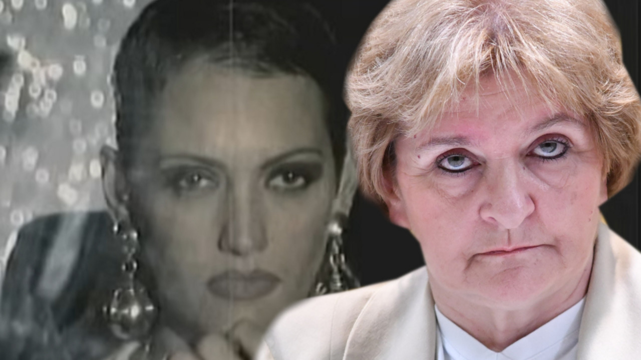 Ceca Ražnatović, Danica Grujičić