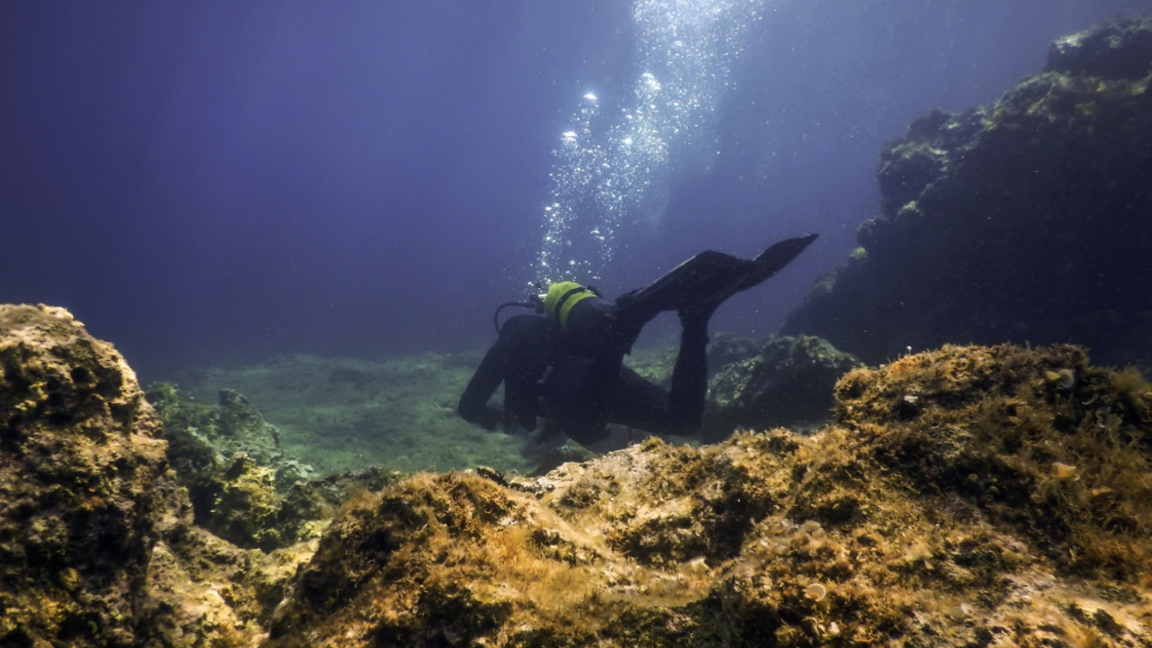 ronilac