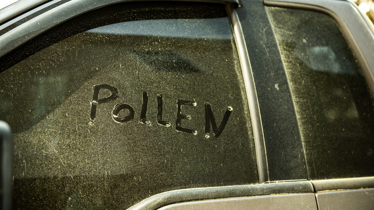 polen na autu